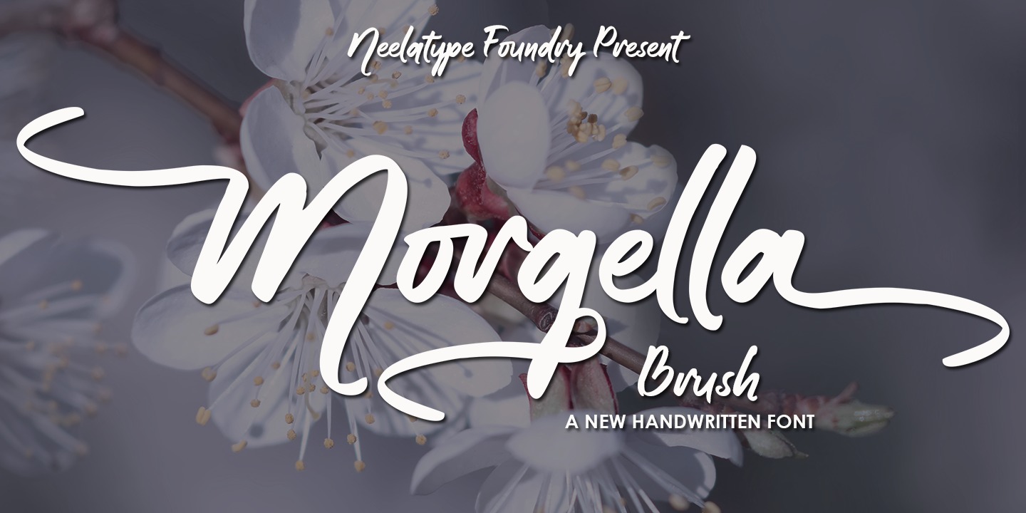 Beispiel einer Morgella Brush Regular-Schriftart